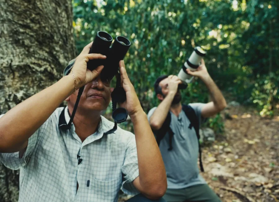 Yucatan Birdwatching Tour two people